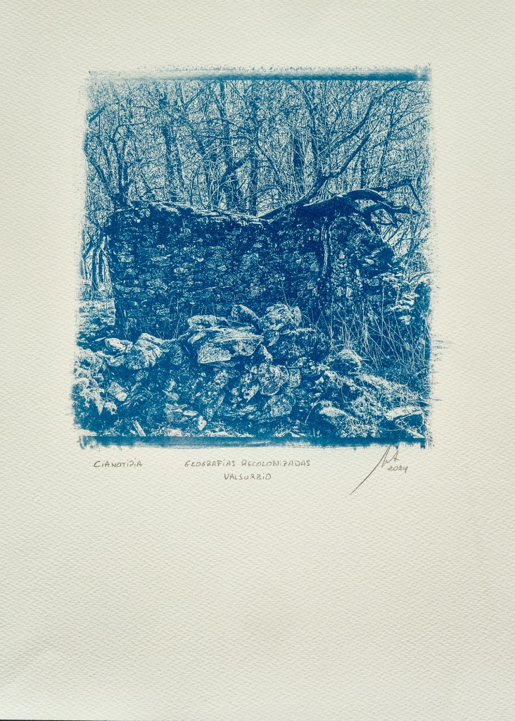Cianotipia azul del mismo muro de piedra seca de Valsurbio, con las piedras caídas y la maleza delante; firmada a lápiz bajo la imagen.
