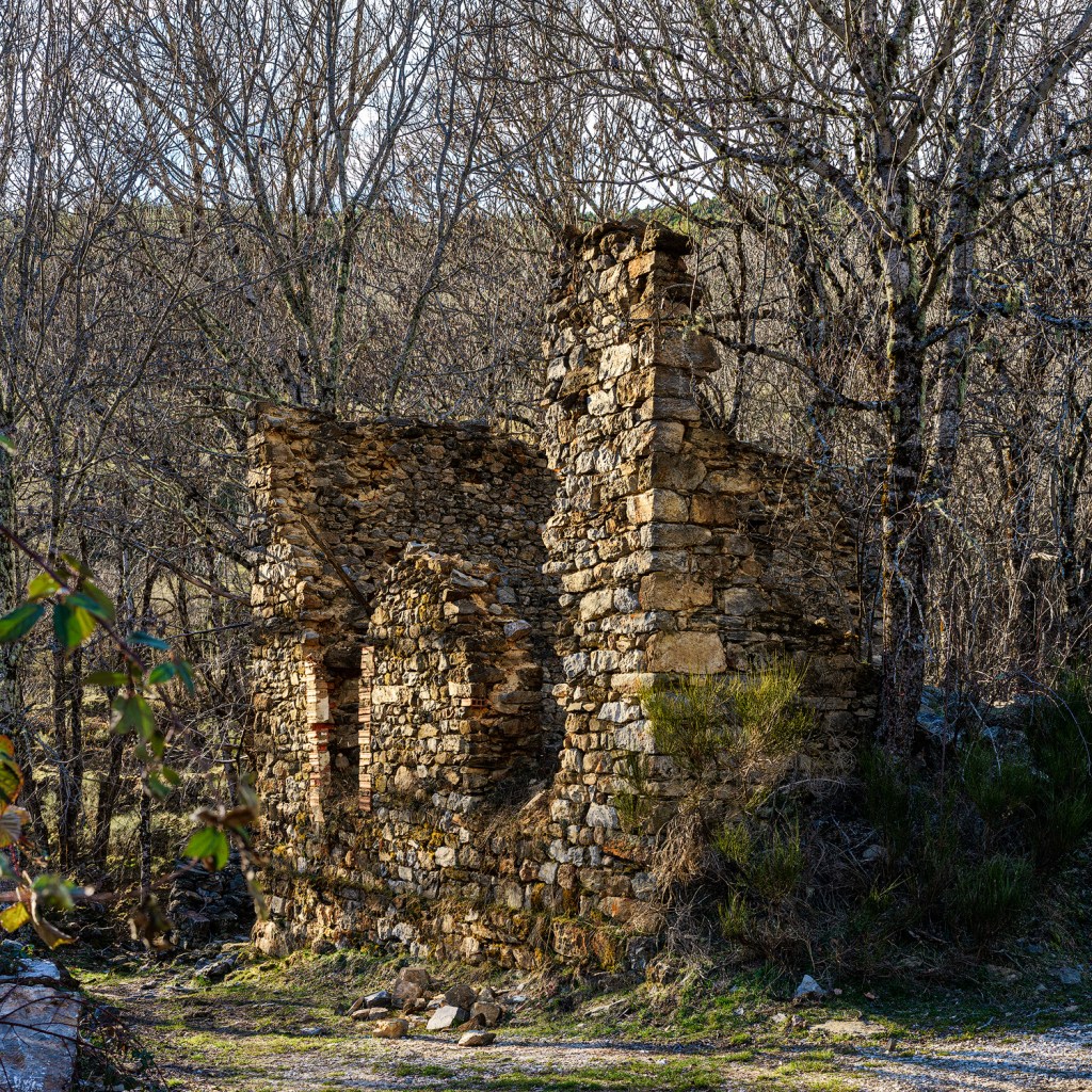 Casa en ruinas de Valsurbio entre árboles desnudos: muros de mampostería sin tejado, con jambas de ladrillo rojo enmarcando los huecos y piedras caídas al pie.