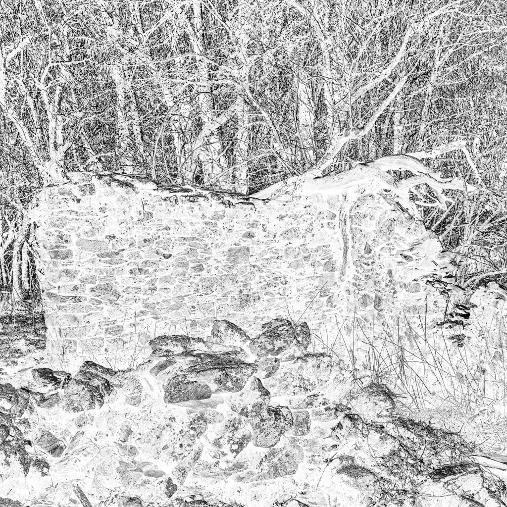 Negativo digital en blanco y negro invertido: muro de piedra seca de Valsurbio con piedras caídas delante y ramas desnudas detrás.